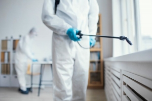 The Benefits of Professional Emergency Pest Control Services
